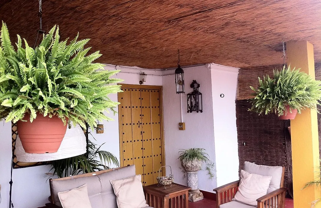 Bed & Breakfast Naranjo-1